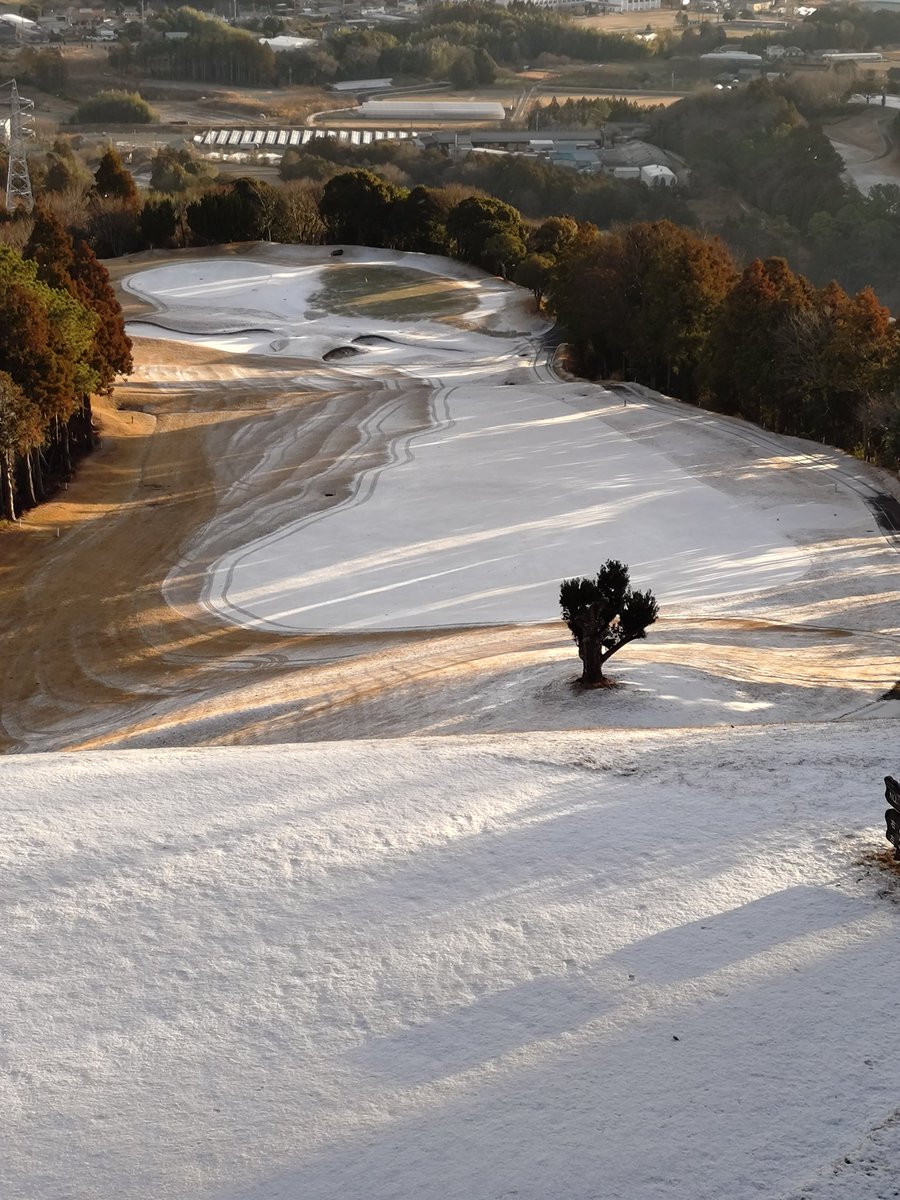 とらうち tweet media