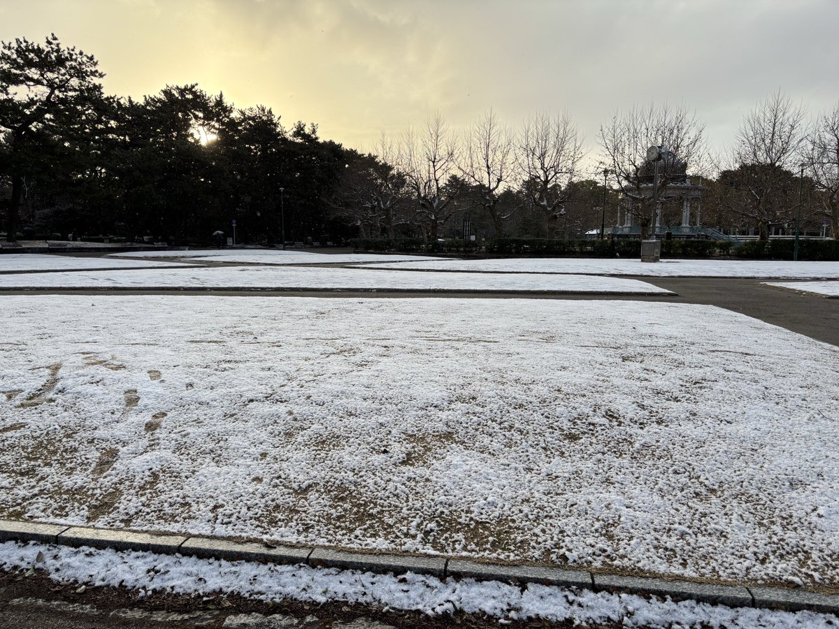 鶴舞公園
こんな感じ❄️