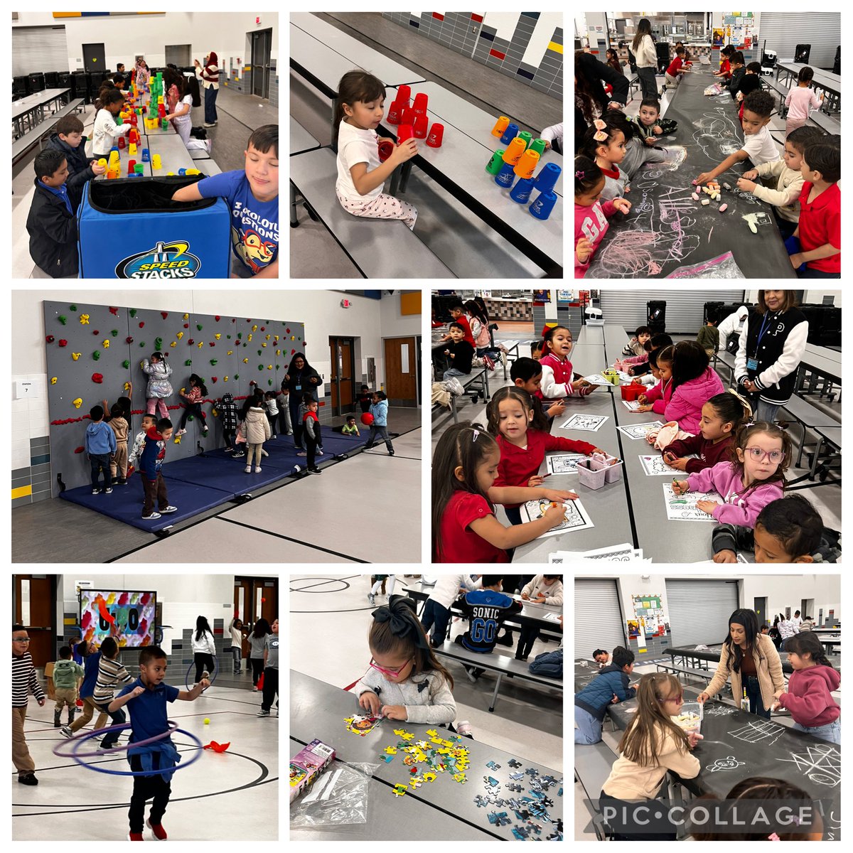 Lily O'Hara tweet media