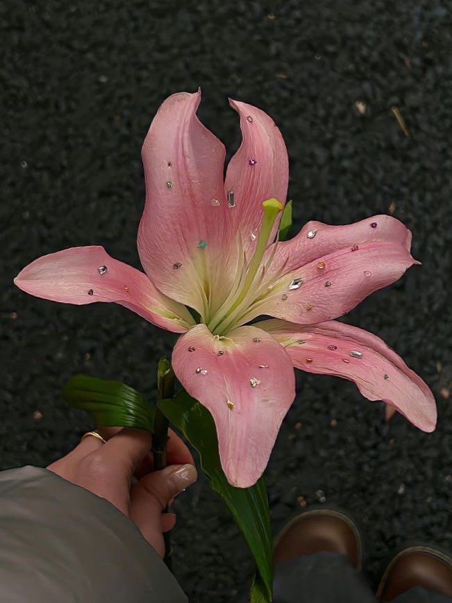 1leio's tweet image. 