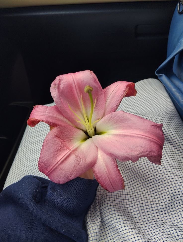 1leio's tweet image. 