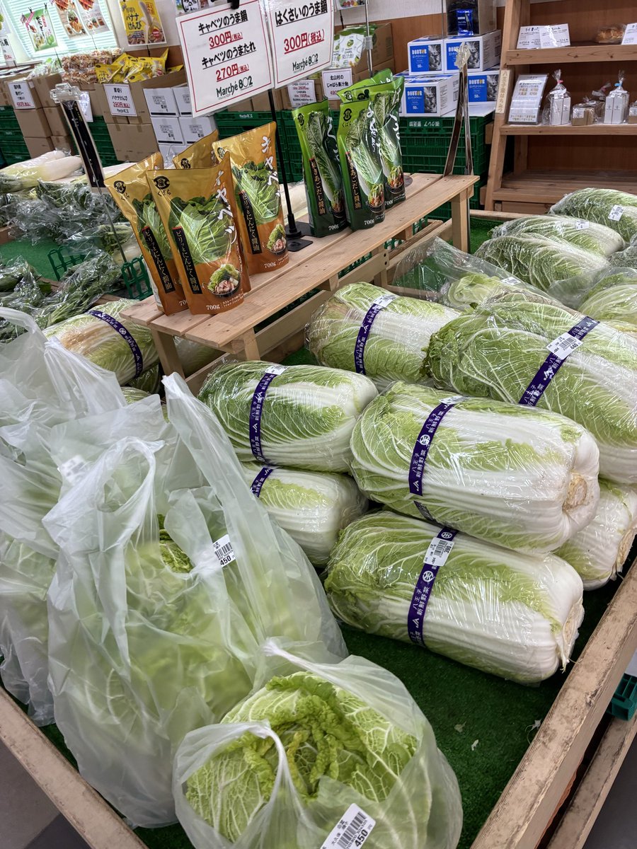おはようございます🌞 本日は八王子産の白菜、大根、原木しいたけ