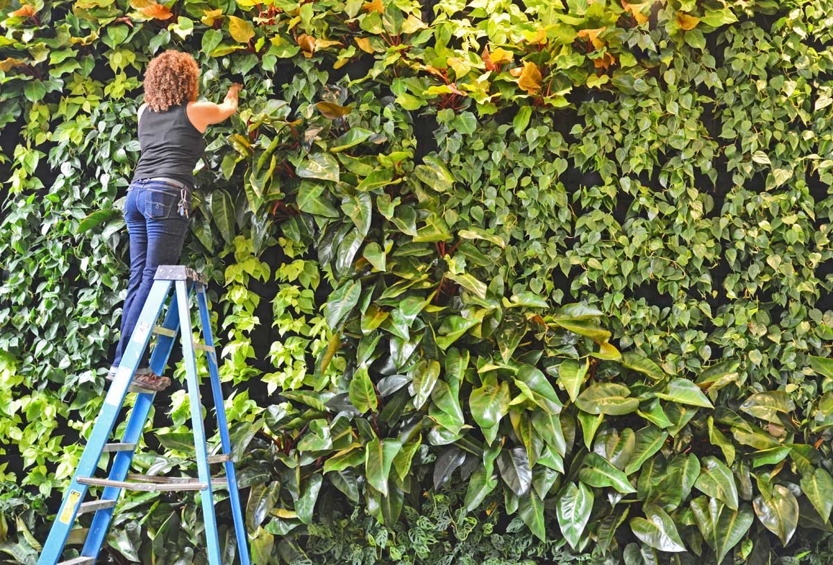 Florafelt's tweet photo. Why Vertical Gardeners Choose Florafelt 🏆
 There’s a reason pros and hobbyists alike use Florafelt systems for living wall projects. Our recycled PET plastic felt provides the perfect wicking environment for healthy roots and stunning growth. https://t.co/vvY084YLy1