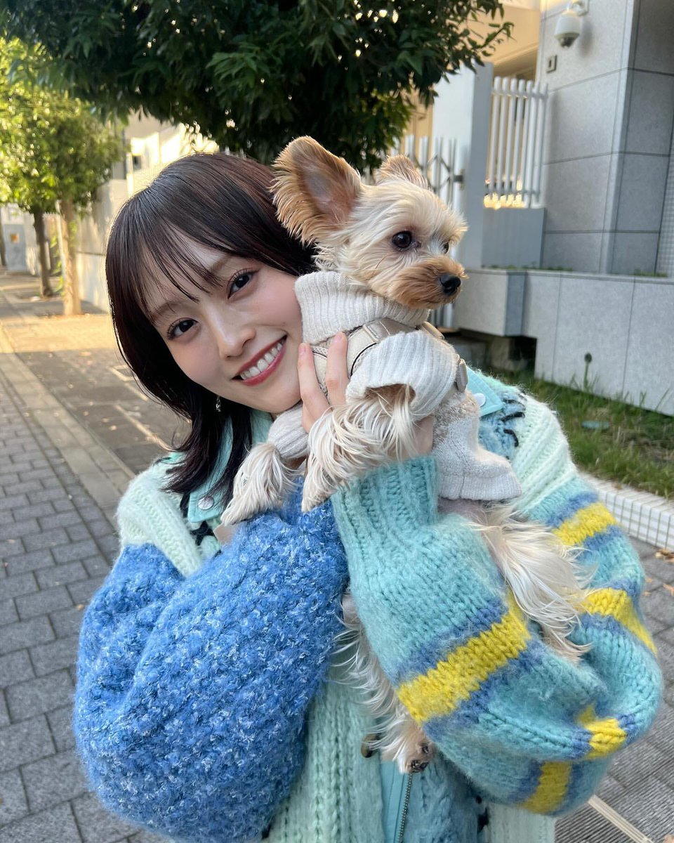 本日限定❣️¥49、999からの大幅値下げ‼️アナと雪の女王電動自動車日本未発売 くもっち (@kumocchi23) / Posts / X