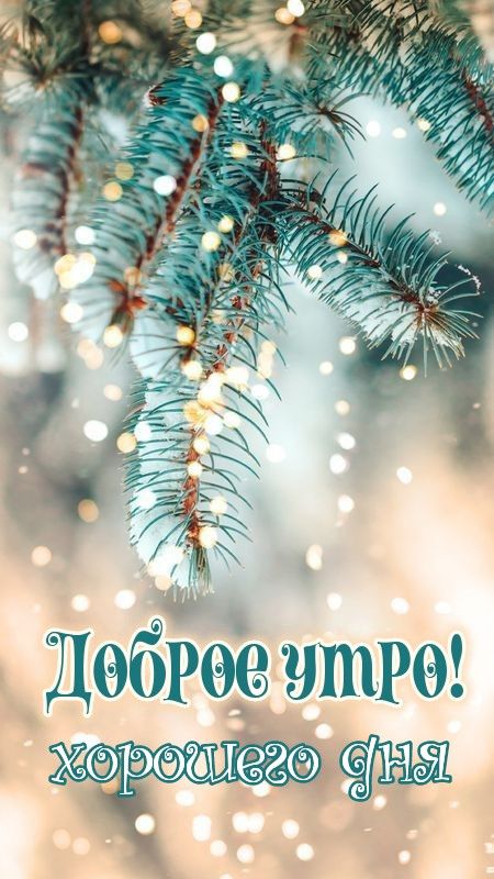 Доброе утро! За окном зима, всё белое и чистое, так давайте и день этот начнём как с чистого листа, нарисуем всё, что хочется, а если не понравится, снежок всё заметет) Великолепного настроения! П - понедельник, П - пробуйте, ошибайтесь, живите! 🥰💜🤗❄️✨️🎄
#BTSARMY