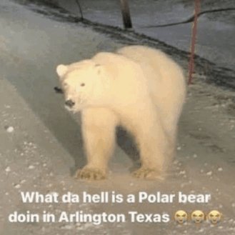 ThatMarioMan's tweet image. this is how i feel but we'll cook, trust🙏