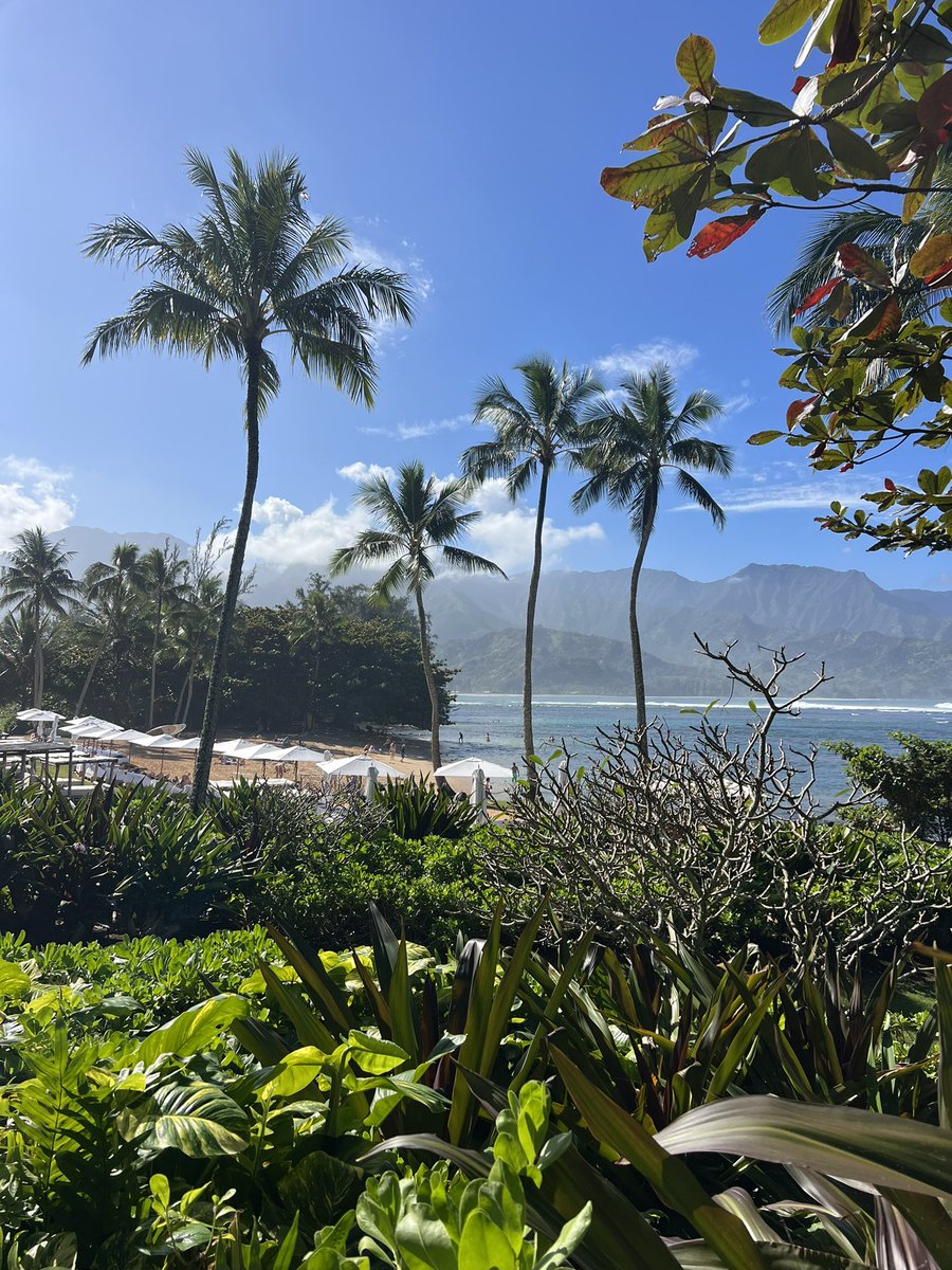 halsteady tweet media