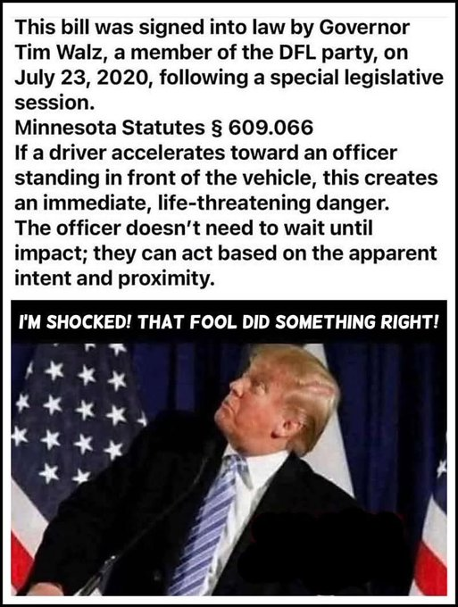 ILA_NewsX's tweet photo. @elonmusk This is the law Tim Walz passed to protect law enforcement from being assaulted with vehicles: https://t.co/0jGK8q8pbb