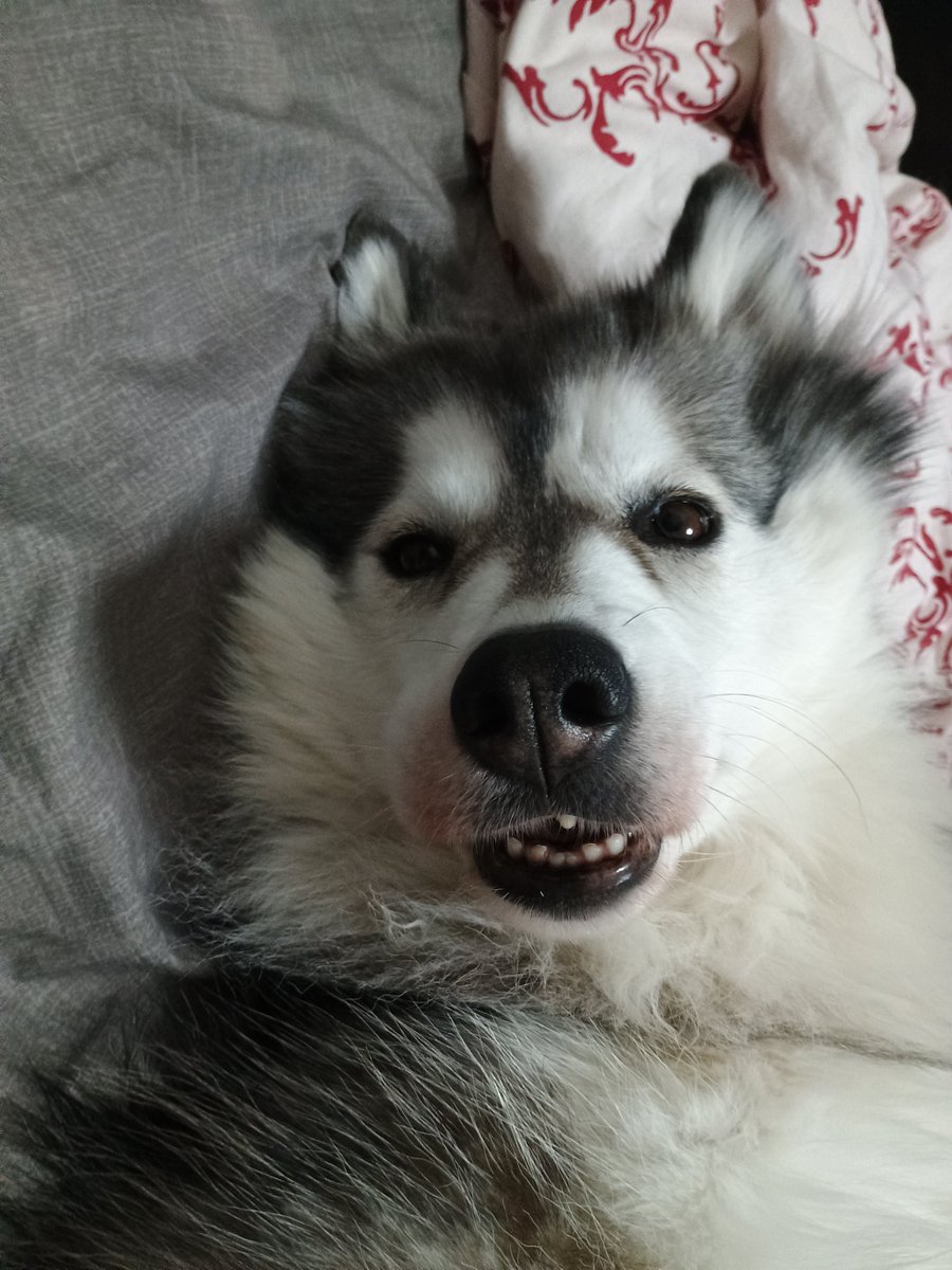 Ineliababs's tweet image. 1+1 son siete, quién me lo iba a decir?