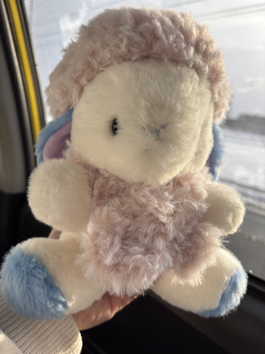 蓮🐰うさぎ屋🅿︎ (@buchixbuchi_co) / Posts / X