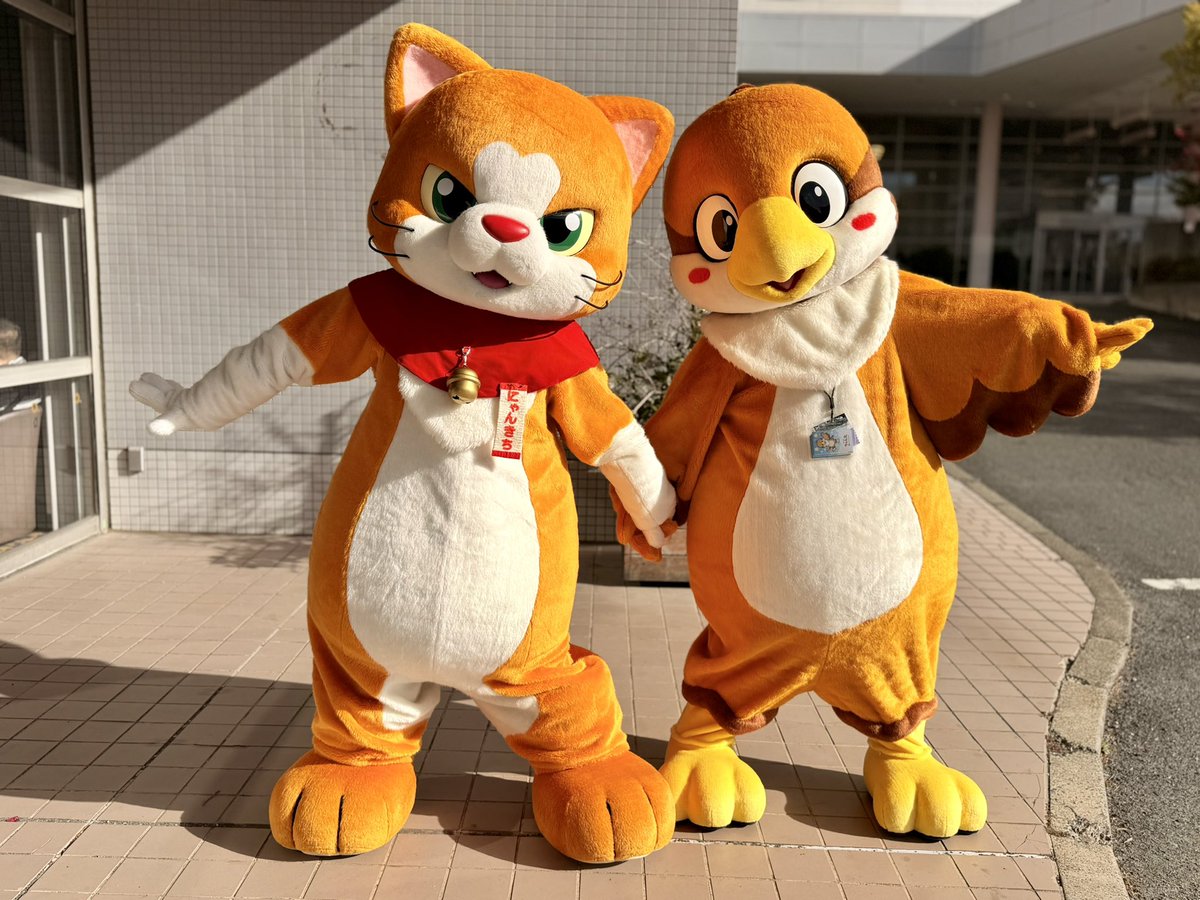 にゃん吉【公式】Nyankichi (@cat_nyankichi) / Posts / X