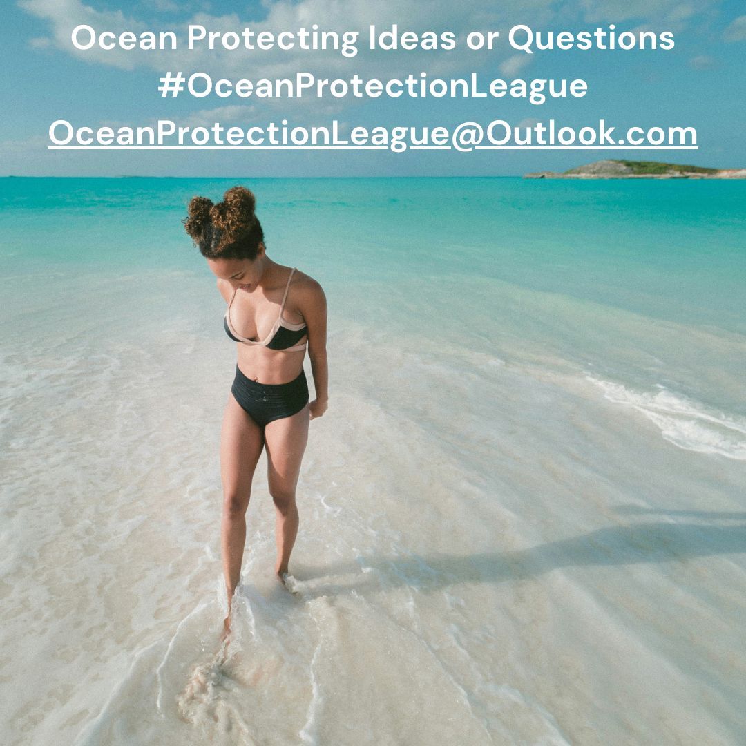 OceanProtectionLeague tweet media