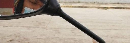 no context animals tweet media