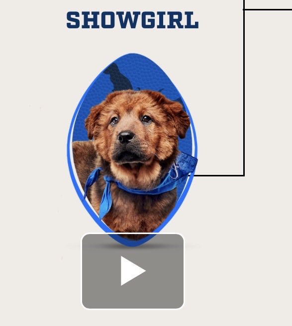 Shannon M. Yates, Ed.D. tweet media