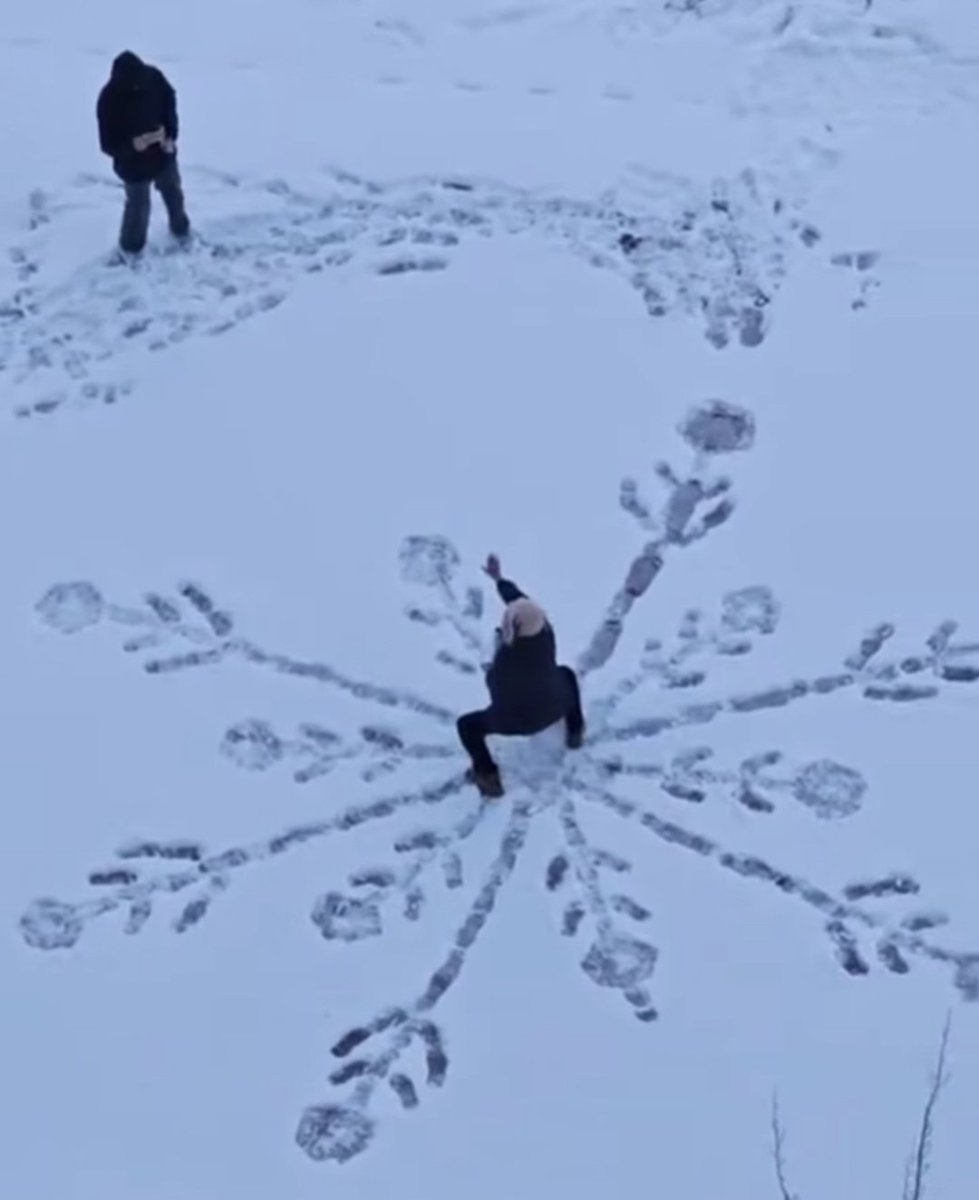 YAKCHO_K's tweet image. 의외로 눈 쌓이면 해야하는것

술식전개