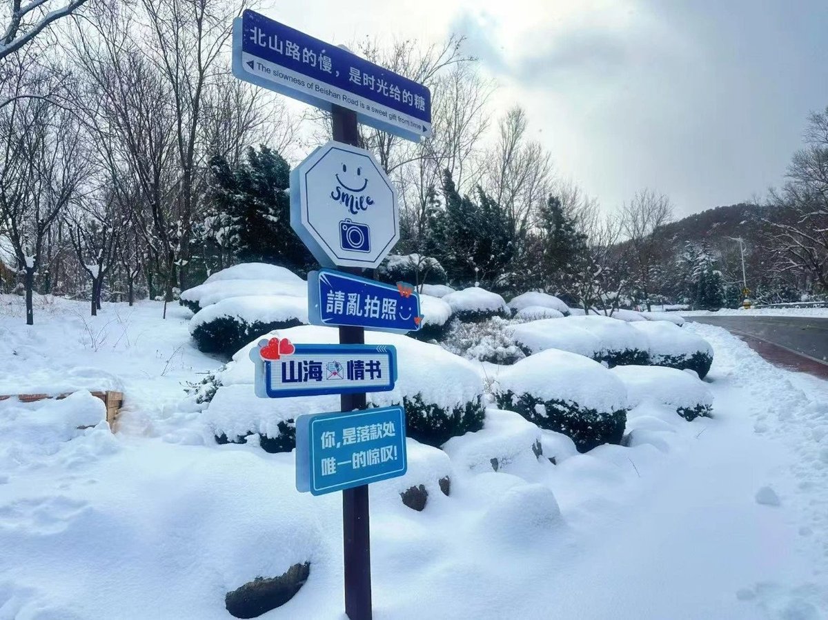 BlackBallhey's tweet photo. 这么近那么美，冬季来威海看雪吧～城市的街道在雪中变了模样。北山路上，两旁建筑银装素裹，往日车马喧哗被雪的寂静取代。#好客山东 #最威海是环翠 #beautifulweihai https://t.co/8fvG2ks8Jg