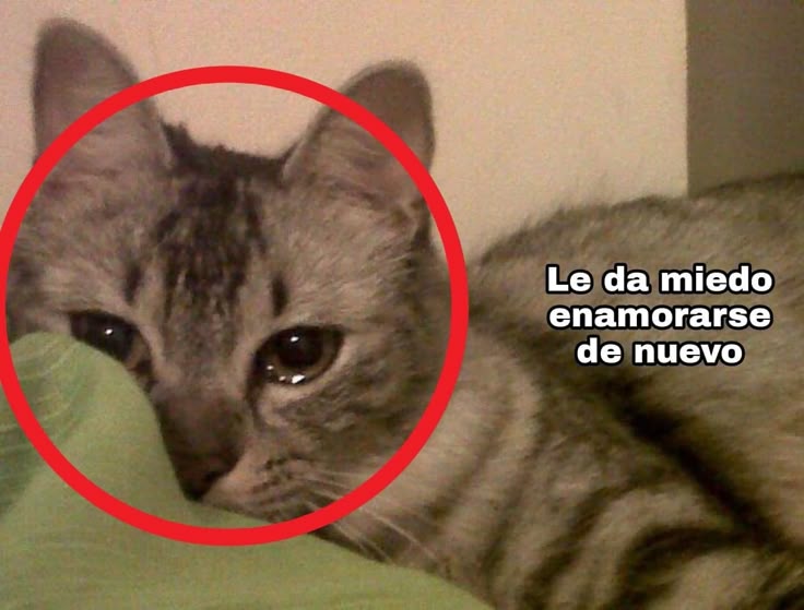 bekxiiuuu's tweet image. 