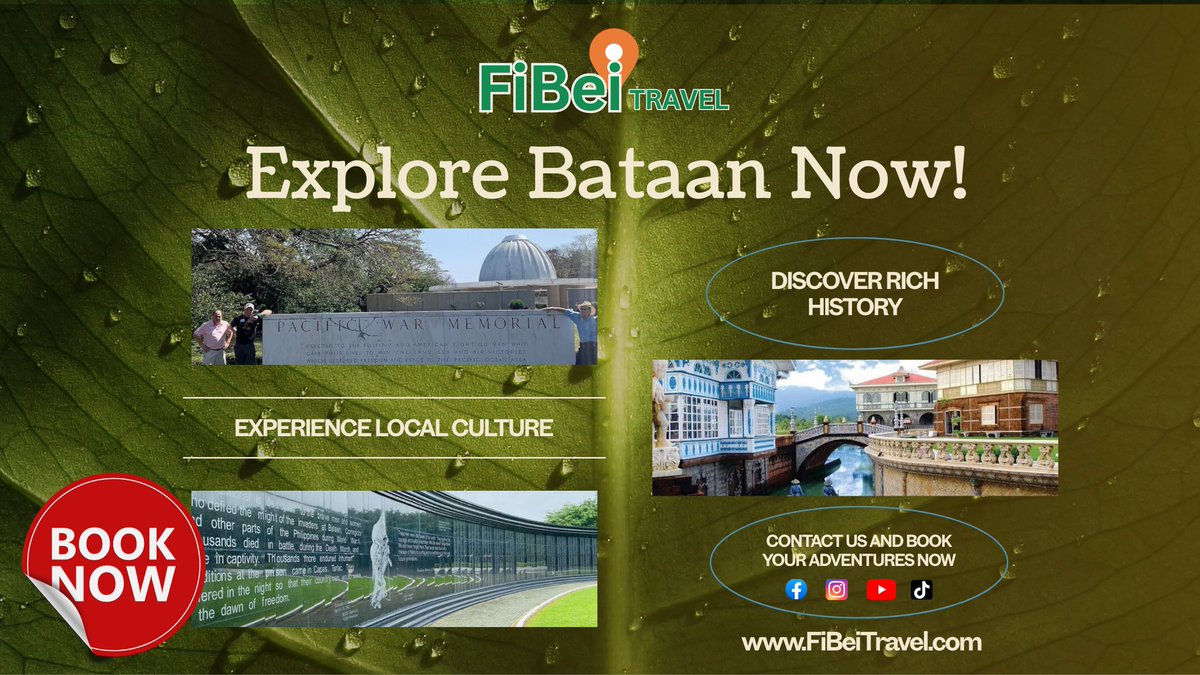 FiBeiTravel tweet media