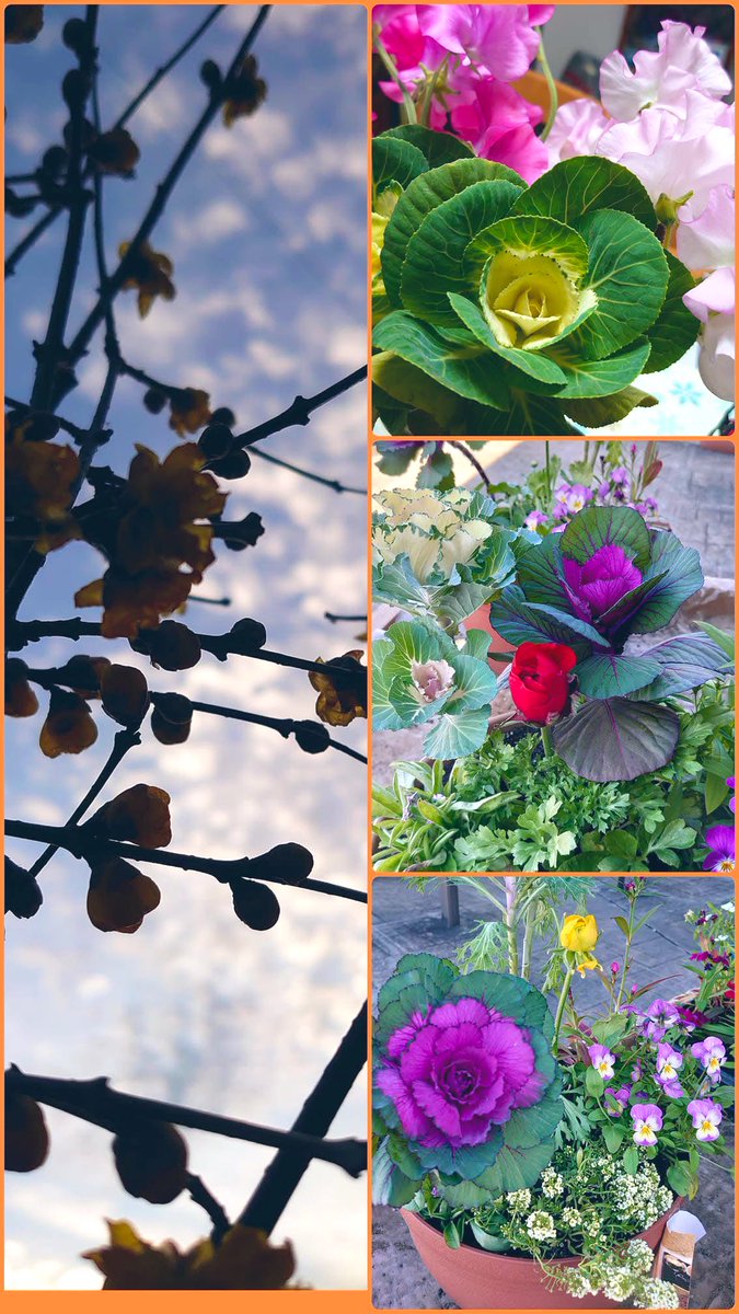 ZカズミRS (@Z1kS8n) / Posts / X