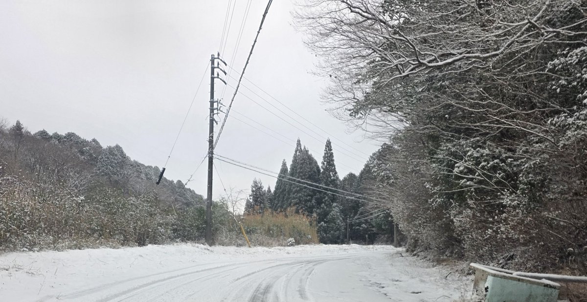 トヨタ市に住むということ