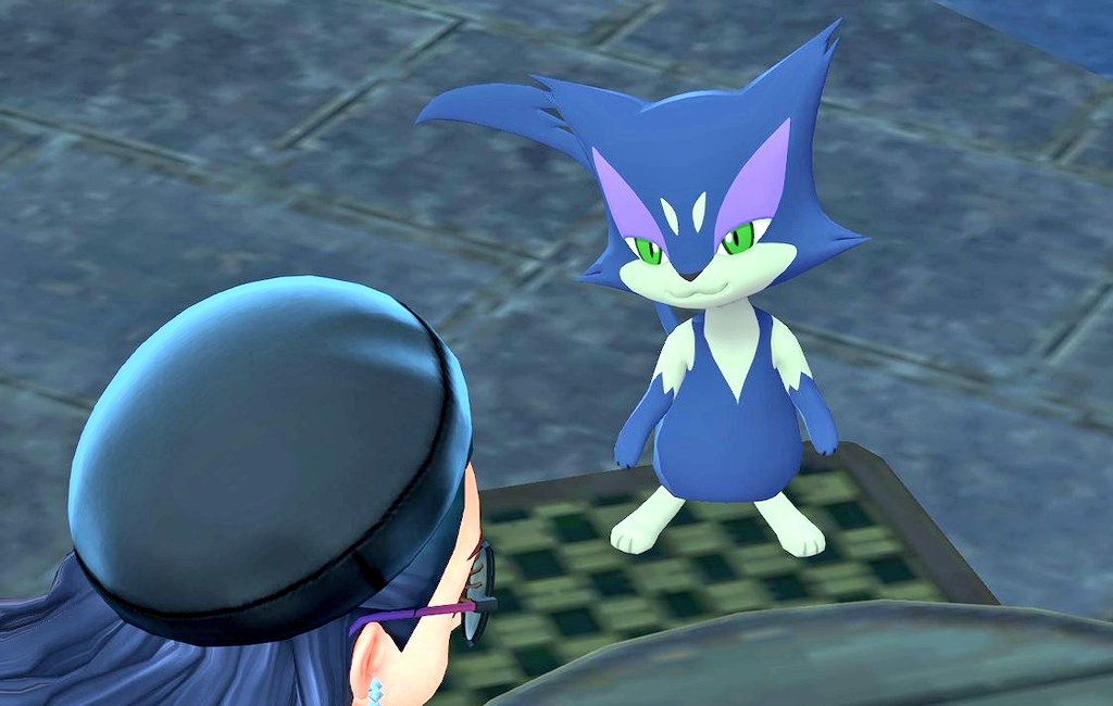 チョロネコ 皆様おはようニャ🐾໊💙 昨日はZAで何気なく行ったM次元で 色違いの