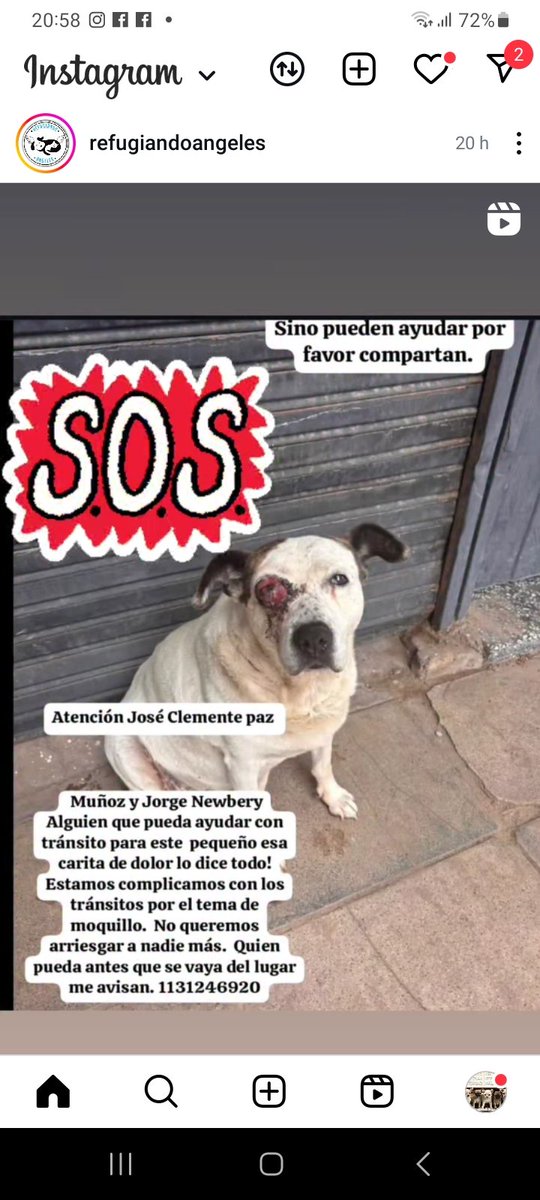 🥺🙏🙏 TRANSITO PARA ESTE PERRITO CON EL OJO MAL 🥺💔 👇👇👇
instagram.com/reel/DTWsypqDA…