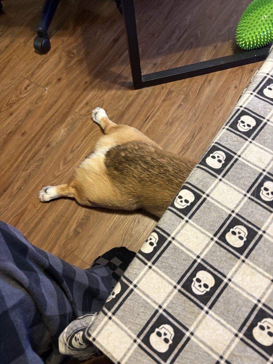 MisterMeatwagon 🐜 tweet media