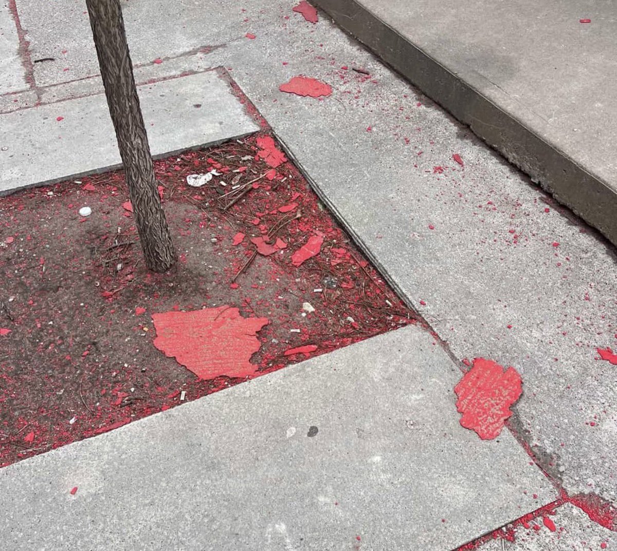 As the multi-million dollar methyl methacrylate paint continues to deteriorate on Bathurst, many in the community are concerned about the health and environmental effects of this disastrous rollout.

RapidTO chief proponent and self-proclaimed “environmental warrior” Dianne Saxe
