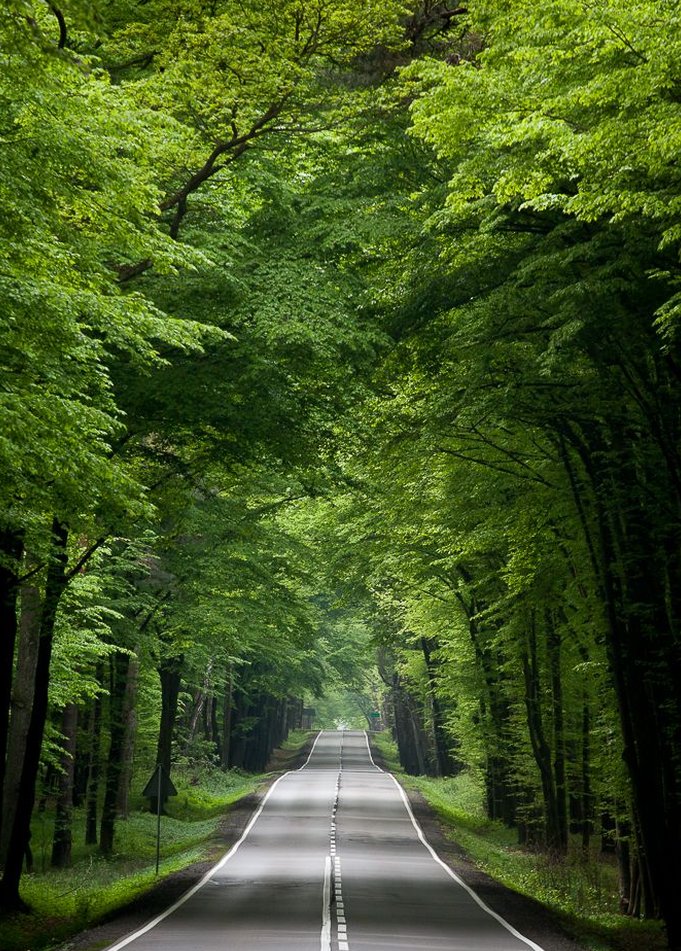 PremierCSvc's tweet image. 会議中にお腹が鳴りそうになって、必死に息を止めて耐えた15分間は地獄だった 👇