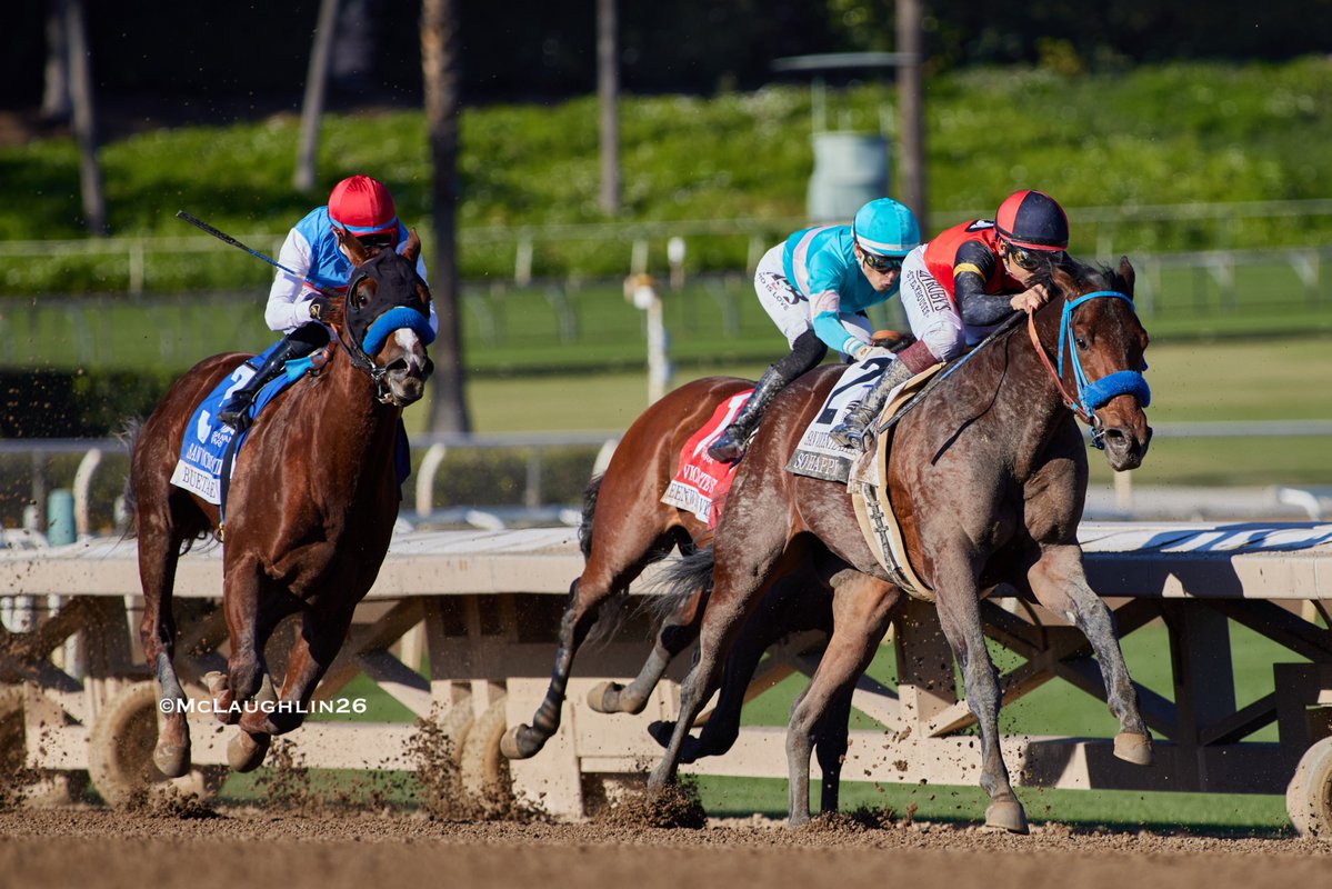 kimo16's tweet image. So Happy under  Hall of Famer Mike Smith on his way to winning yesterdays G2 San Vicente for trainer Mark Glatt @santaanitapark  @SoSRacingStable @mikeesmith10