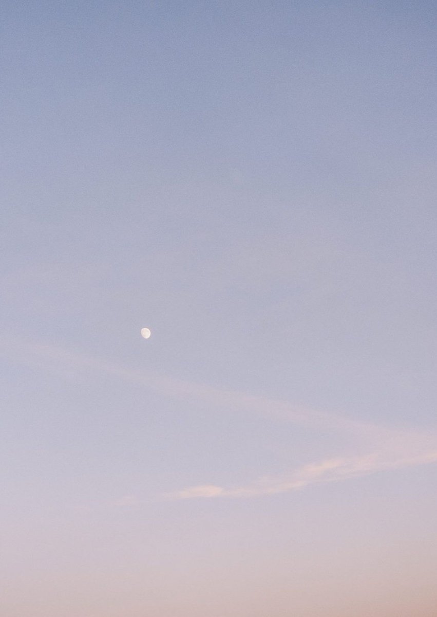 FaraPrevost's tweet image. ガーデニングを始めて花の苗を10個植えた
春になったら綺麗に咲いてくれるといいな 👩‍🦯