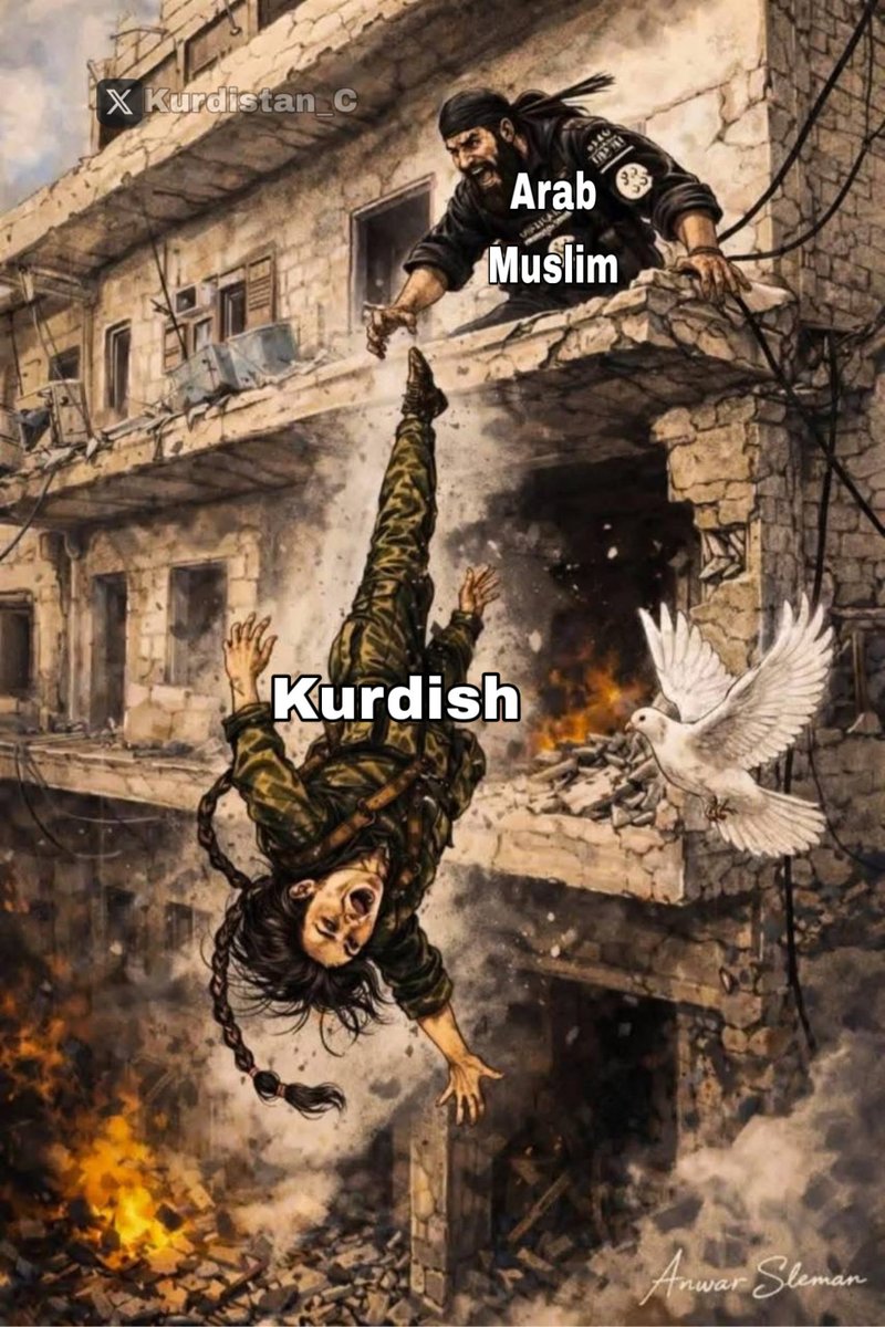 Kurdish angel 🕊️
