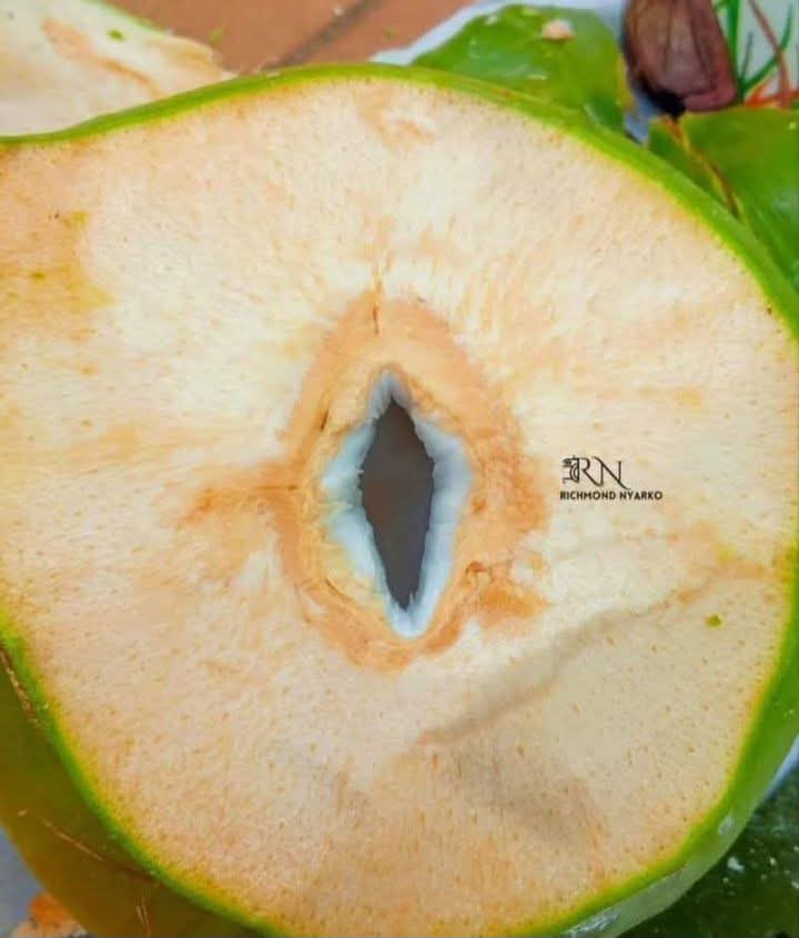 imredhunter_'s tweet photo. How much is a coconut 🥥 in your area? 
My is seven cedis🥹
#interactivePlug
#fcbrma https://t.co/POI0jiyxKS