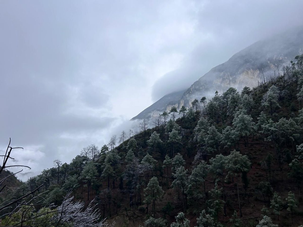 Judith Medrano tweet media