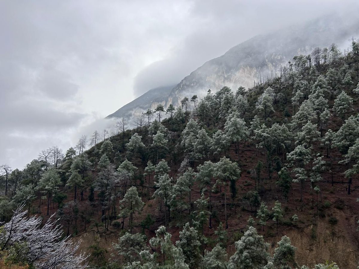 Judith Medrano tweet media