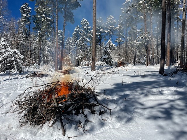 Cibola NF&Grasslands tweet media