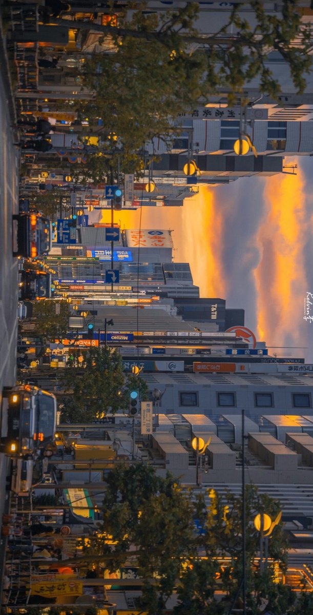 markopt9's tweet image. 電車の遅延アナウンスを聞いて諦めモードに入ったら
意外とすぐに動き出した 🥝