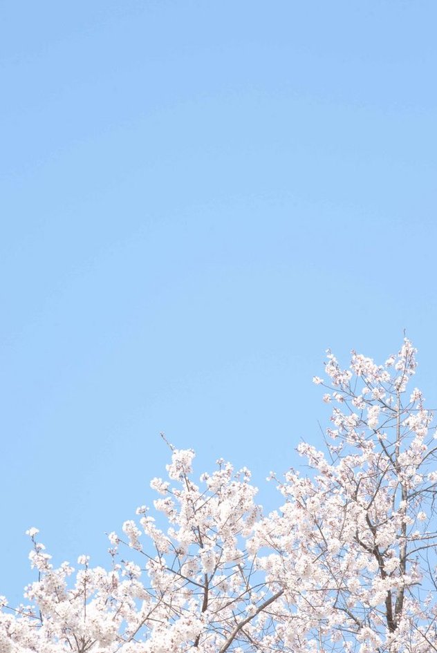 Dee993's tweet image. 今朝は目覚ましをかけ忘れたのに自然に起きることができて体内時計に感謝 👀