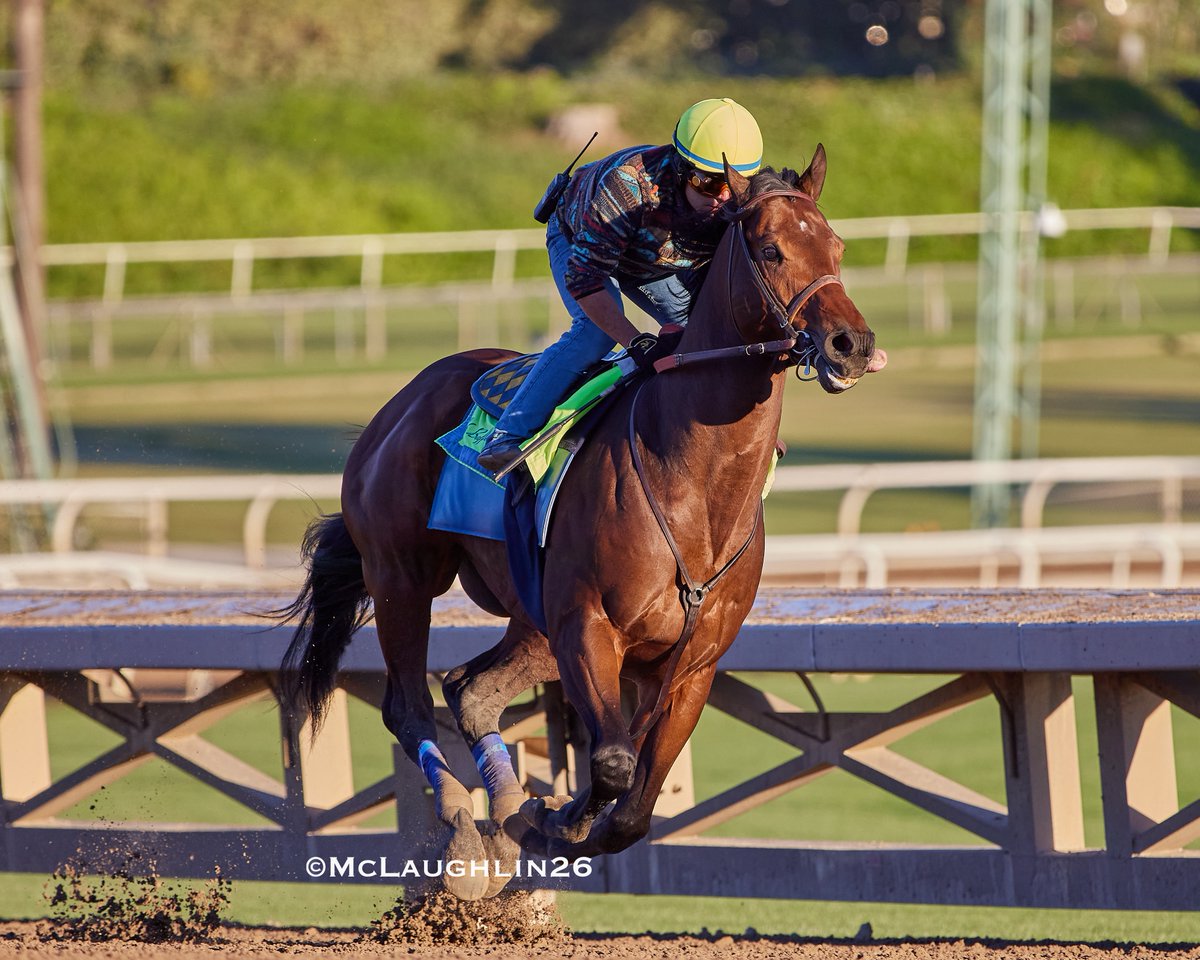 kimo16's tweet image. Nysos under Juan Ochoa 4F in 48.20 this morning for HoF trainer Bob Baffert @santaanitapark @BaomaCorp @BobBaffert