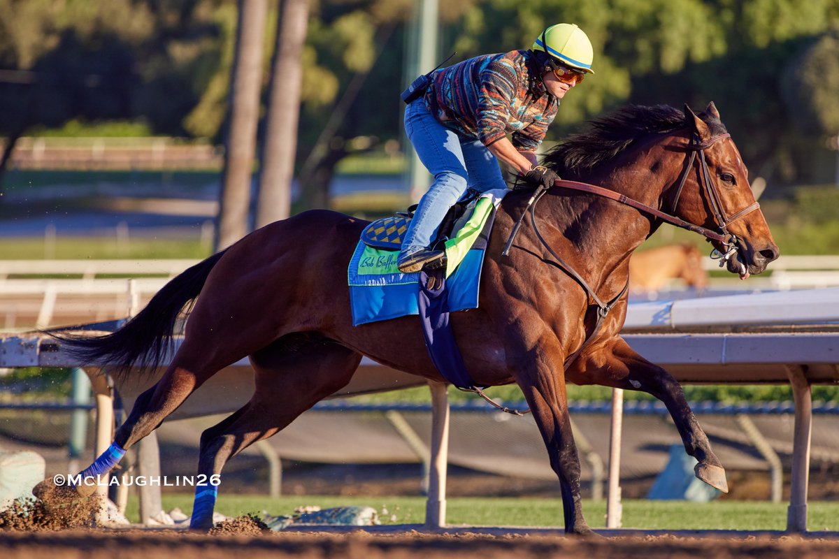 kimo16's tweet image. Nysos under Juan Ochoa 4F in 48.20 this morning for HoF trainer Bob Baffert @santaanitapark @BaomaCorp @BobBaffert