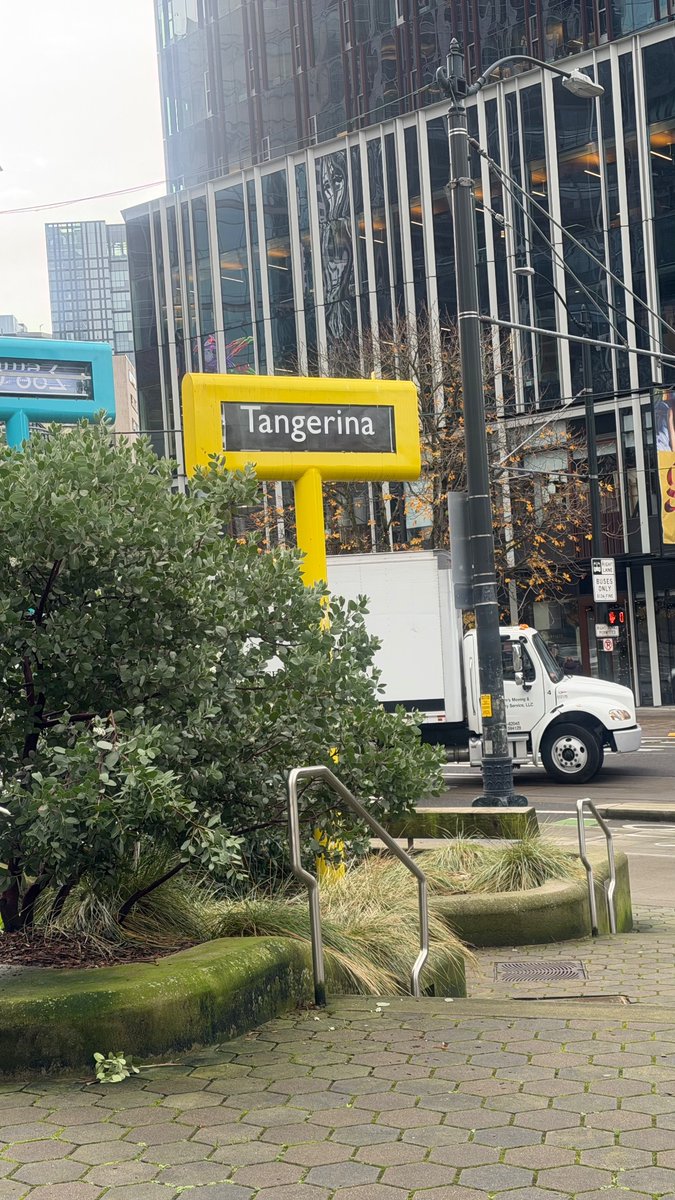 fakeholden's tweet photo. Hey @SeattleParks  we have been stuck on Tangerina here at the Westlake Triangle Park for at least a month now. https://t.co/bGQ8tmlfRA