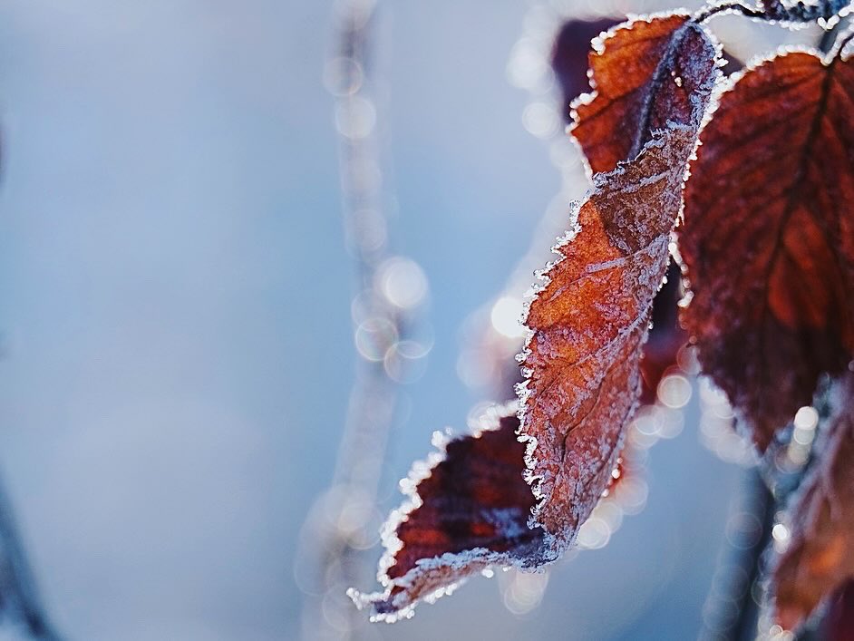 _sonotama's tweet photo. Januarmoment
#photography #winter https://t.co/4iULwmSWKA