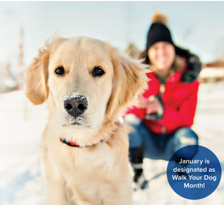 Harrowsmith tweet media