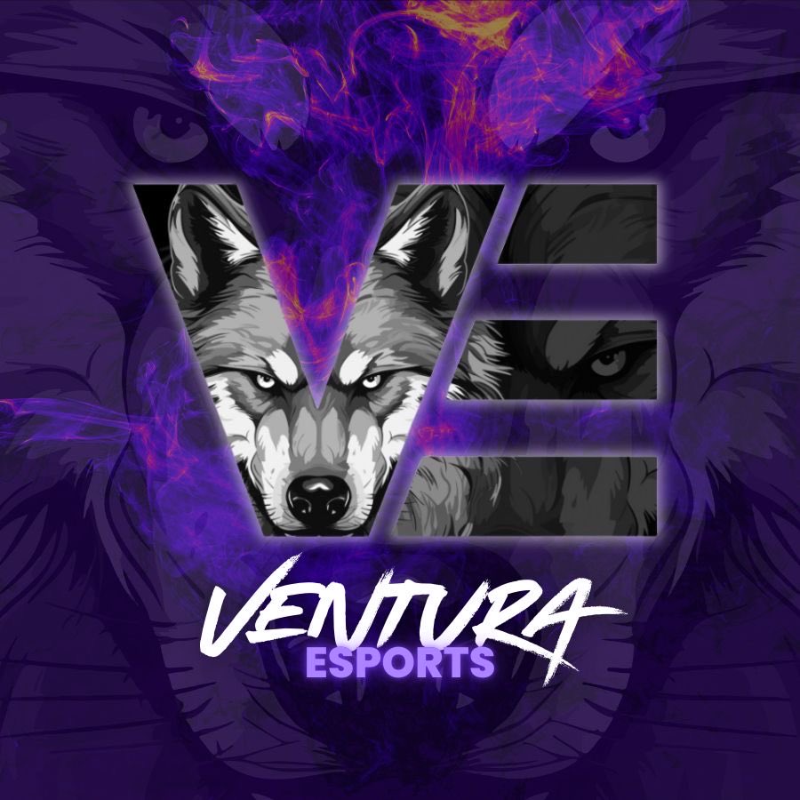Ventura Esports tweet media