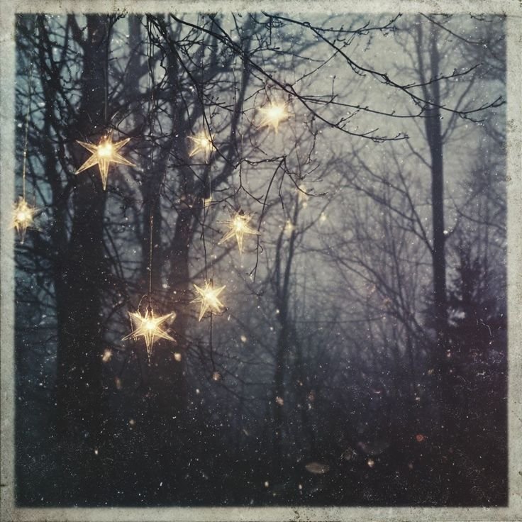 sorrrowfull's tweet image. 