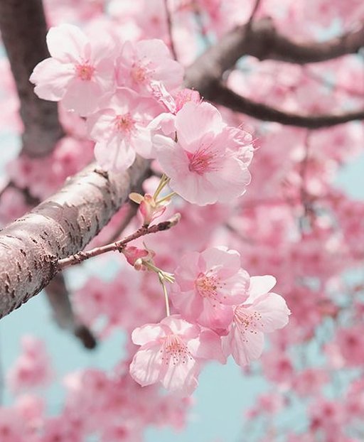 MartinAnguloPer's tweet image. 今日は久しぶりに料理作って満足した 🤶