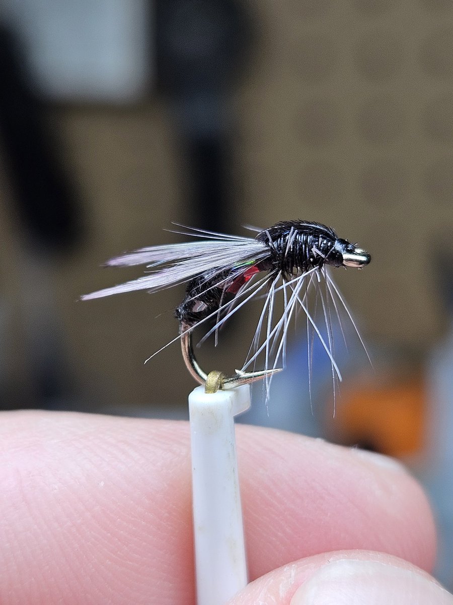 Robster22 tweet media