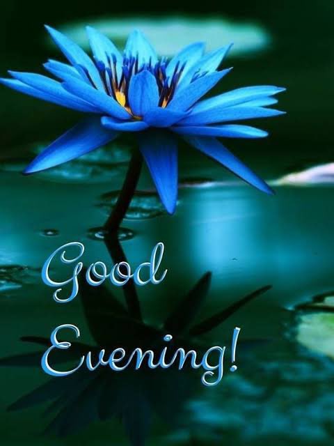 emilyedwards349's tweet image. May your evening be peaceful, and your night be restful.
Enjoy your evening.

#WritingCommunity #sundayevening #GoodEveningX