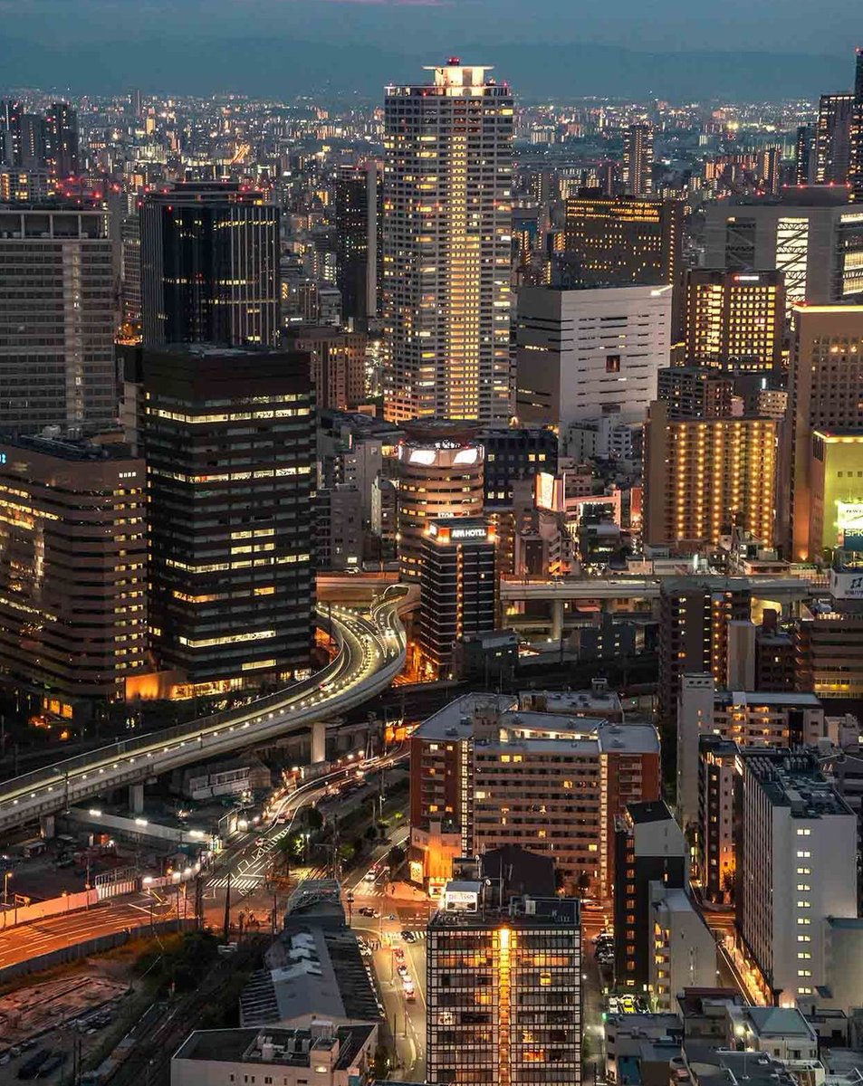 spanielco's tweet image. 今日のお昼は同僚とファミレスでのんびり 🐡