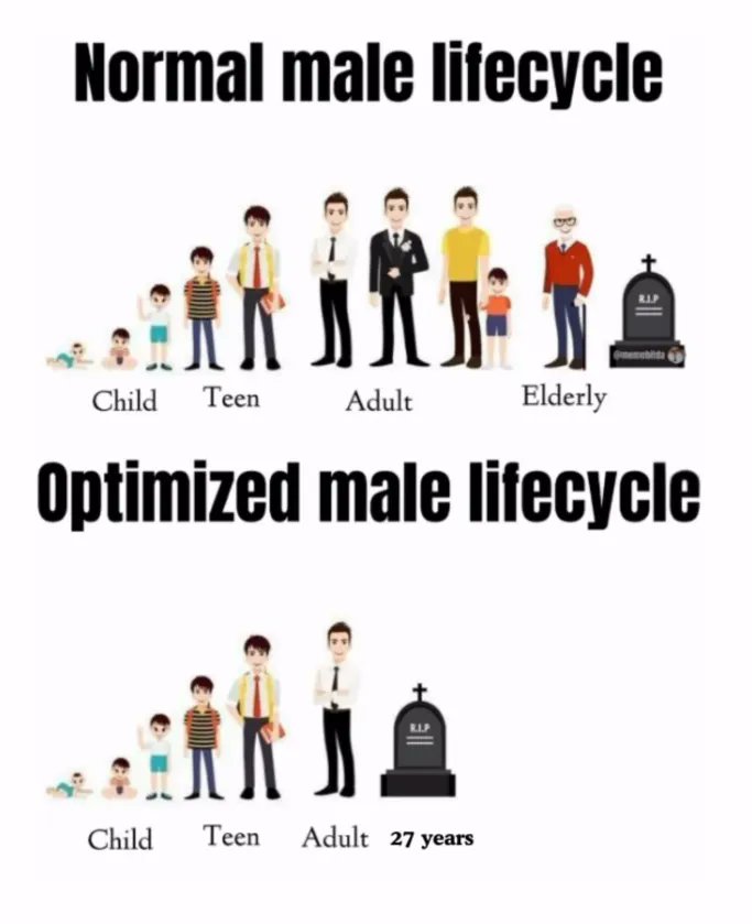 brainrotpostig's tweet image. 